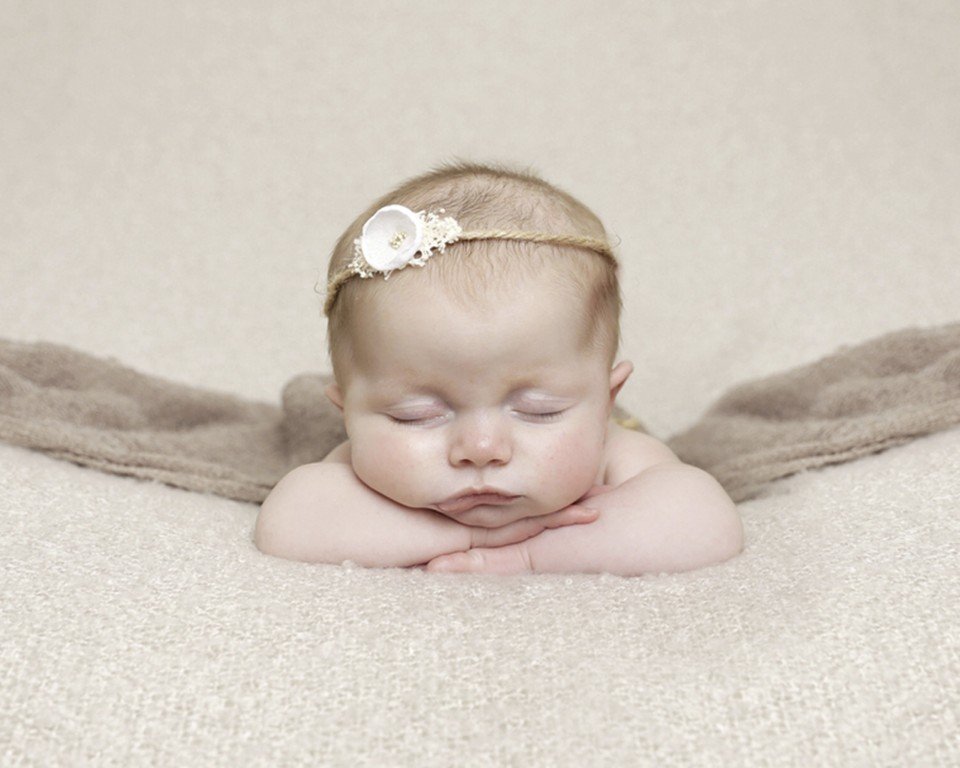 Image for Newborn Portrait Session